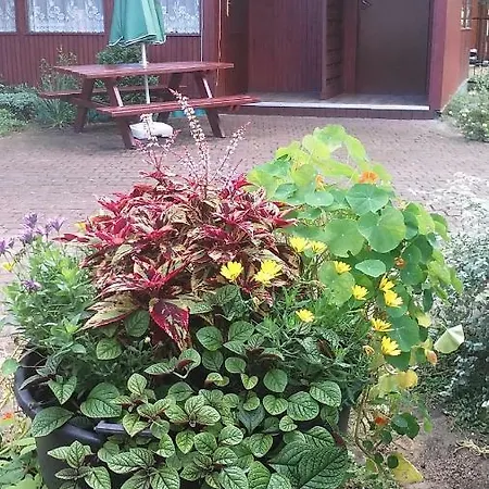 Letniskowe U Stasia * Pobierowo
